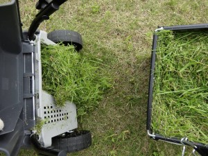 グラスパで刈取った草     