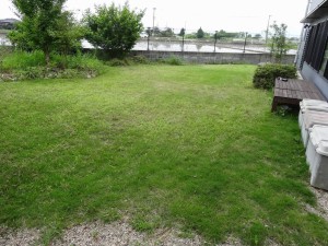 グラスパ使用後     