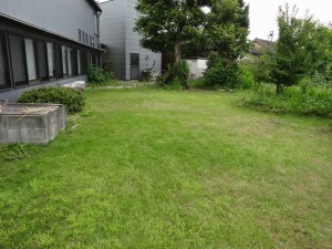 グラスパ使用後     